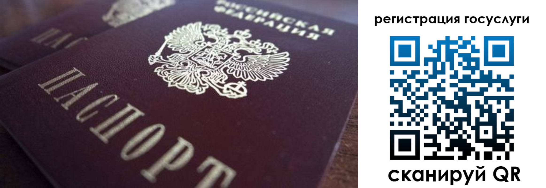 временная регистрация гарантия в Почепе